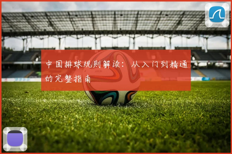 中国排球规则解读:从入门到精通的完整指南